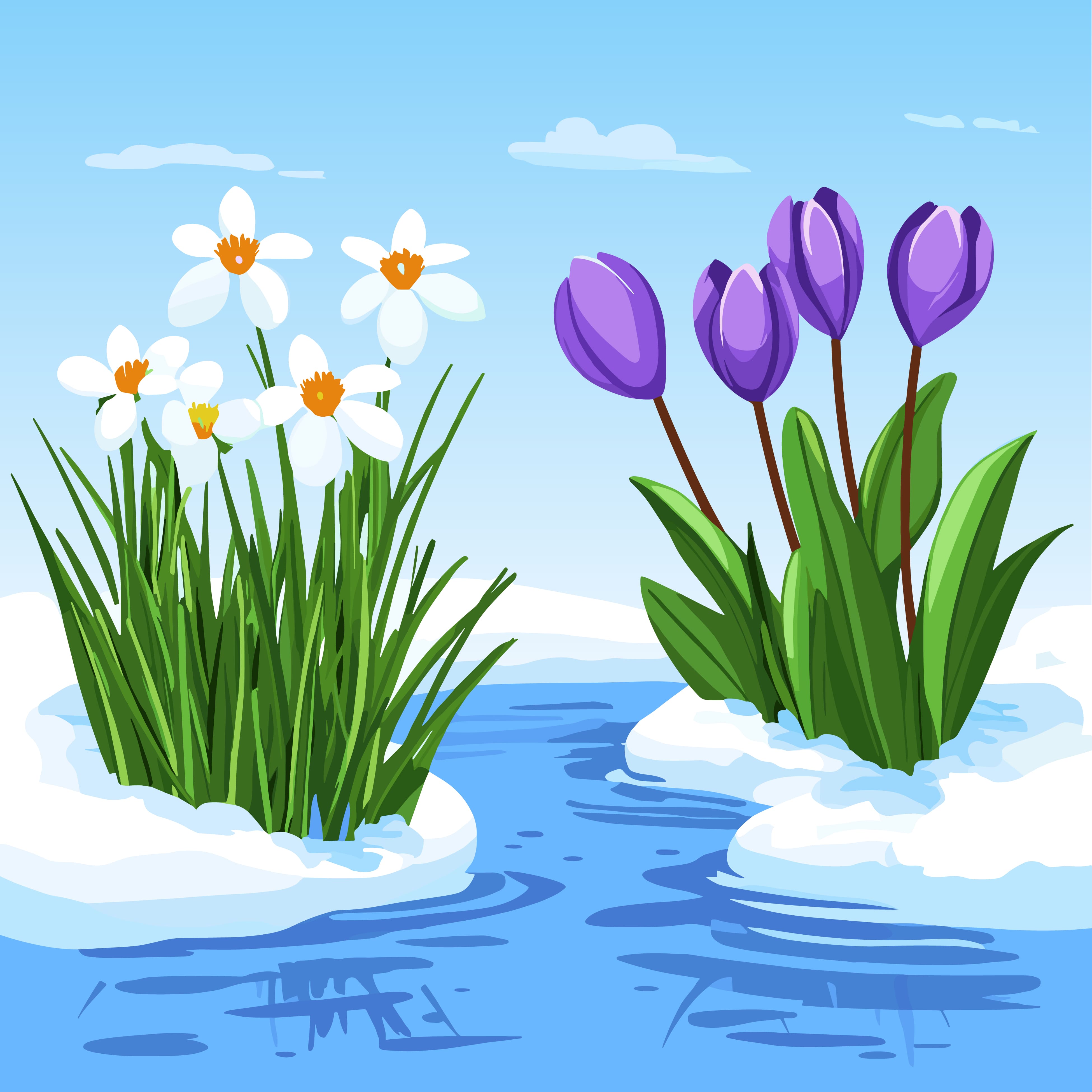 Прогноз погоди на весну‑2026 і доставка суші — коли чекати тепла